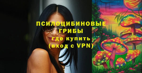 круглые Новодвинск