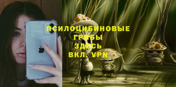 круглые Новодвинск