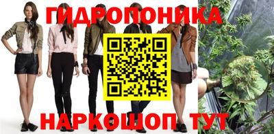 метадон Берёзовский