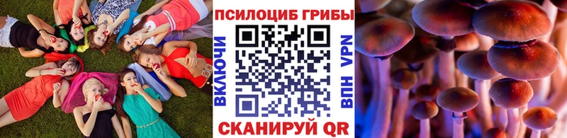 Псилоцибиновые грибы Magic Shrooms  KRAKEN ССЫЛКА  Тольятти 