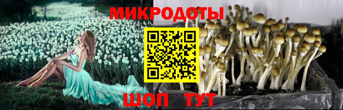 Галлюциногенные грибы ЛСД  Вход с VPN  Тольятти 