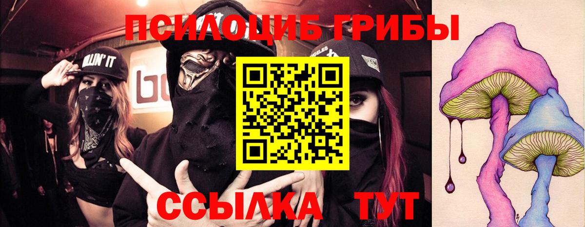 Псилоцибиновые грибы мухоморы Тольятти