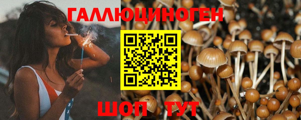 Галлюциногенные грибы Magic Shrooms Тольятти